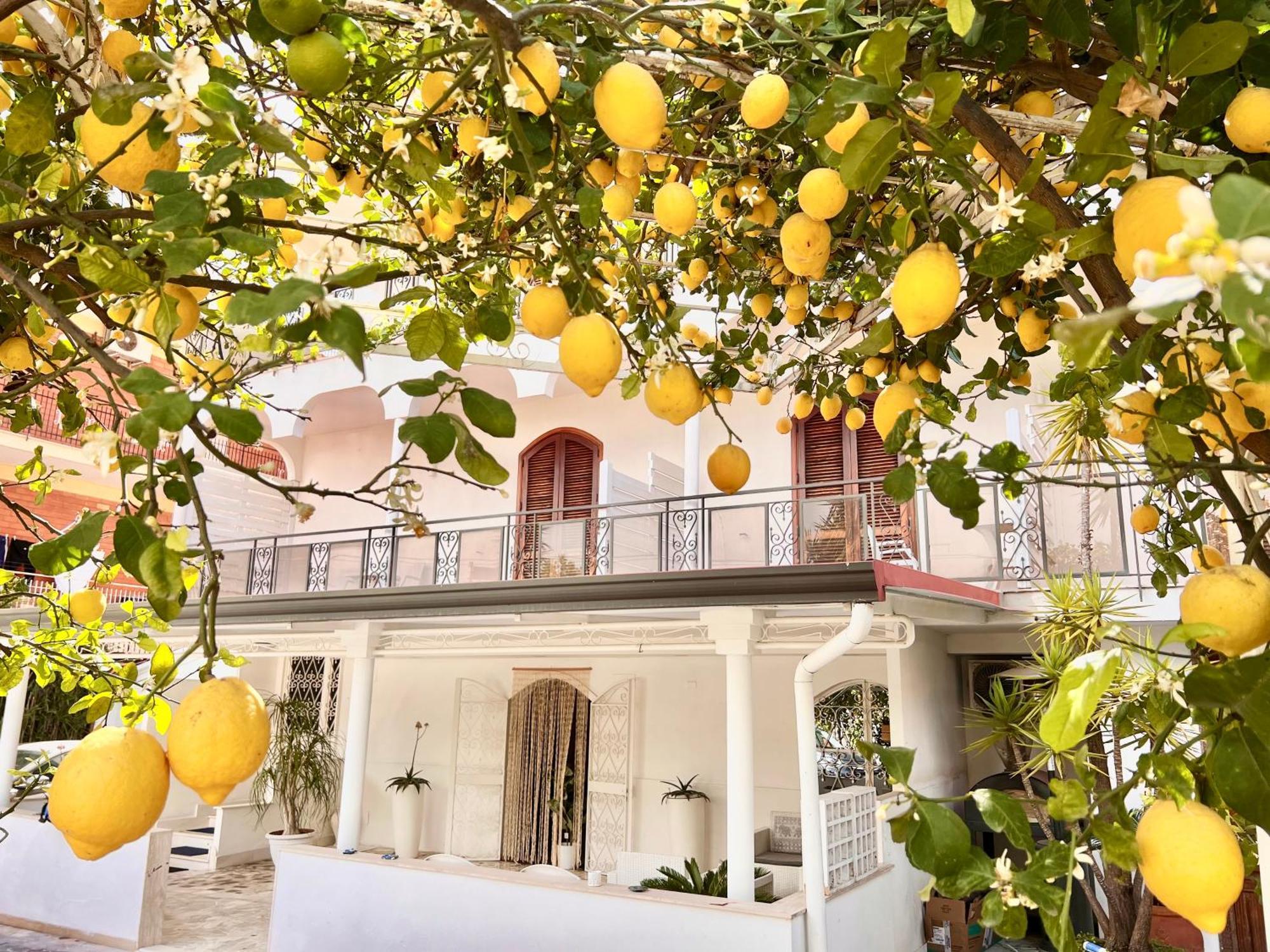 Villa Miriam Gragnano Dış mekan fotoğraf